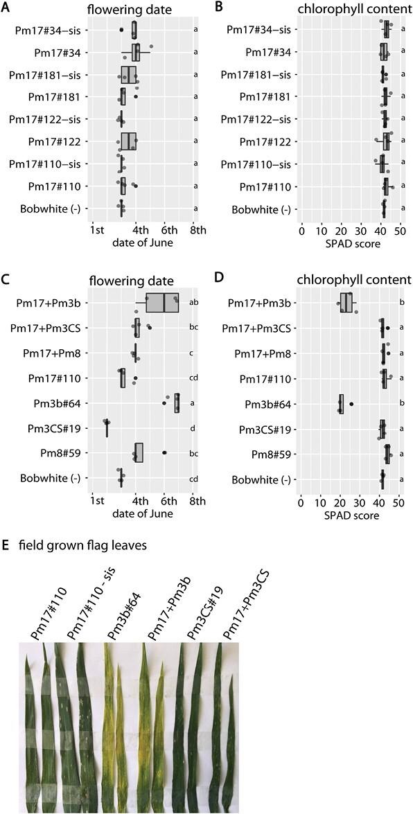 https://cdn.ncbi.nlm.nih.gov/pmc/blobs/e26b/10967238/b1782f5fabb2/erad493_fig6.jpg