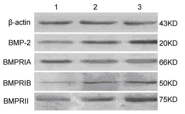 https://cdn.ncbi.nlm.nih.gov/pmc/blobs/e26d/2907340/0619d790cb93/1756-9966-29-85-2.jpg