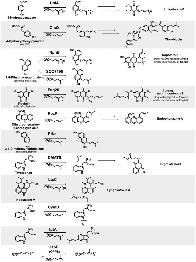 https://cdn.ncbi.nlm.nih.gov/pmc/blobs/e26d/3227686/84c3f36f3704/pone.0027336.g001.jpg