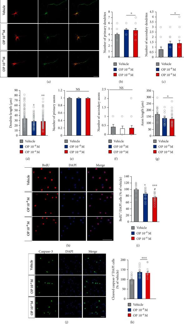 https://cdn.ncbi.nlm.nih.gov/pmc/blobs/e26e/7691001/76aebfba0da4/OMCL2020-8875604.001.jpg