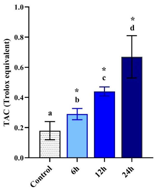 https://cdn.ncbi.nlm.nih.gov/pmc/blobs/e26e/7699146/b99ead3ac227/pharmaceutics-12-01111-g005.jpg