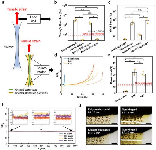 https://cdn.ncbi.nlm.nih.gov/pmc/blobs/e26f/12057590/7a02646c8ee8/ADHM-14-0-g004.jpg