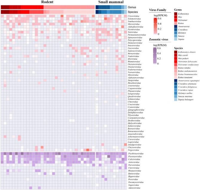 https://cdn.ncbi.nlm.nih.gov/pmc/blobs/e270/11921572/614f5c7989a0/12985_2025_2702_Fig3_HTML.jpg