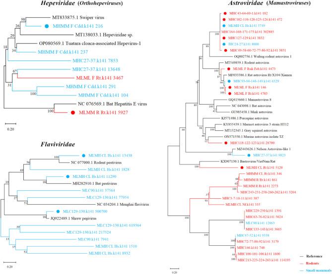 https://cdn.ncbi.nlm.nih.gov/pmc/blobs/e270/11921572/6ad770d68b4c/12985_2025_2702_Fig6_HTML.jpg