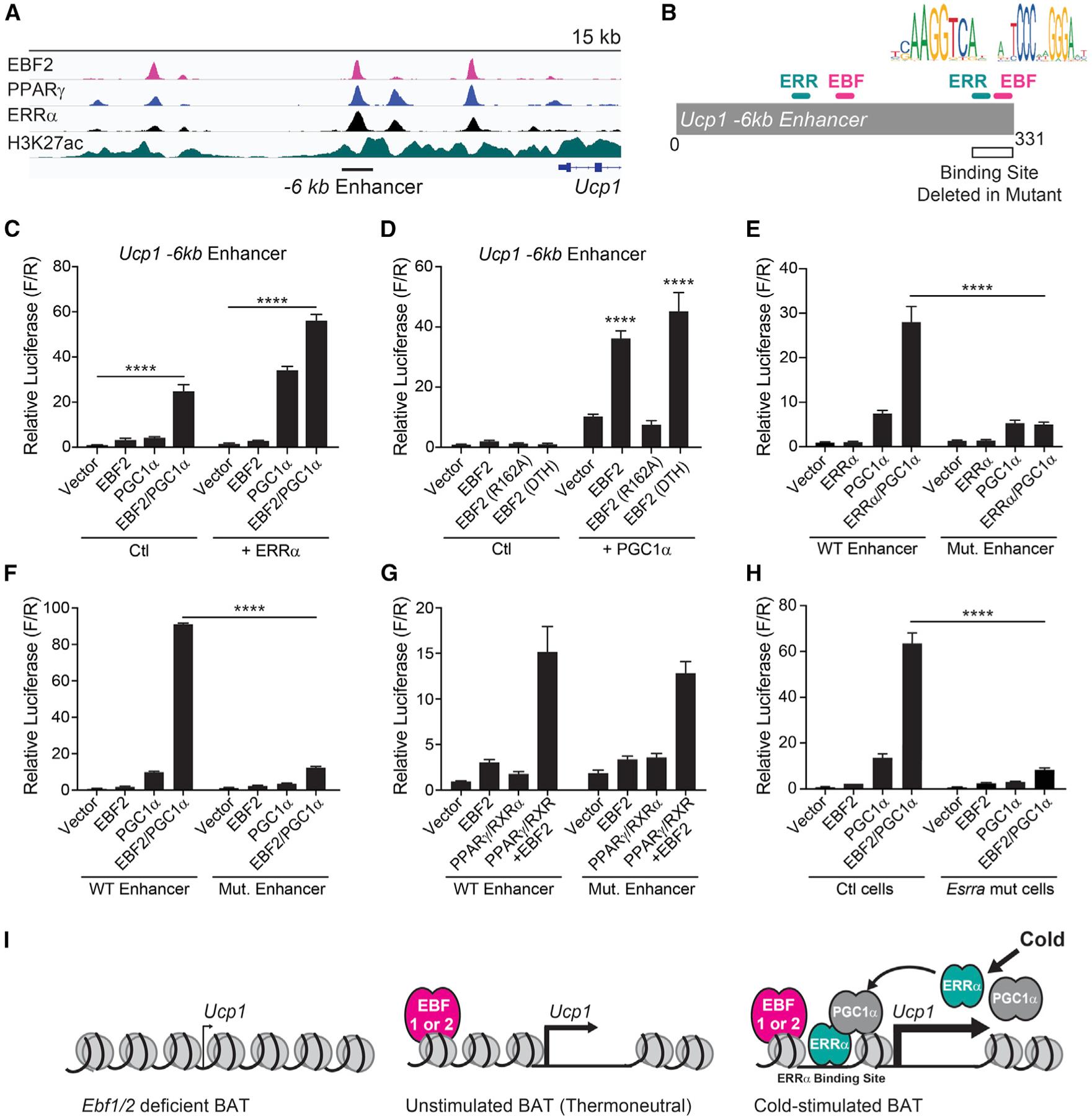 https://cdn.ncbi.nlm.nih.gov/pmc/blobs/e273/7079313/450784555a05/nihms-1571424-f0005.jpg