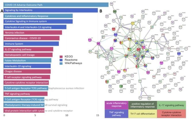 https://cdn.ncbi.nlm.nih.gov/pmc/blobs/e27a/8494211/f4946f652a38/lqab090fig4.jpg