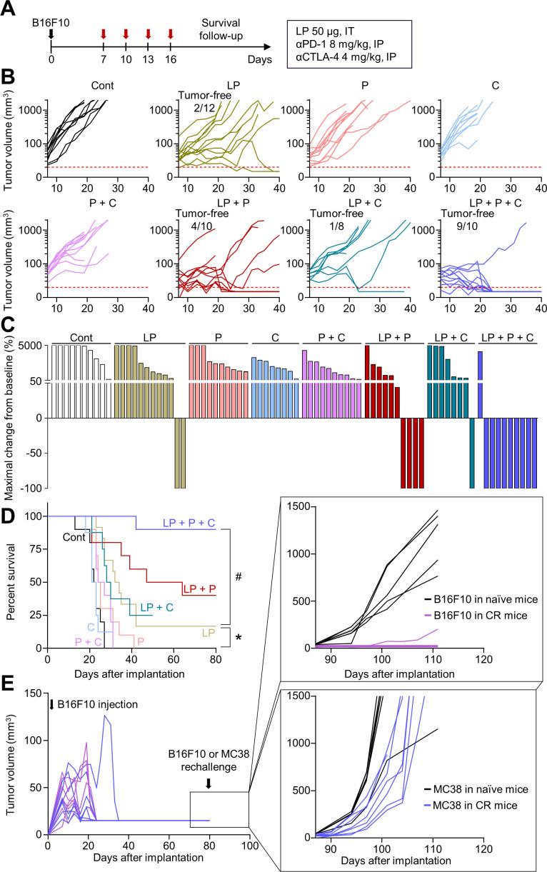 https://cdn.ncbi.nlm.nih.gov/pmc/blobs/e27b/9240943/896383ec5690/jitc-2022-004799f06.jpg
