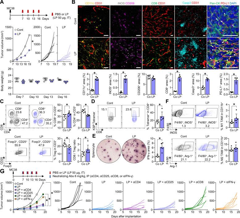 https://cdn.ncbi.nlm.nih.gov/pmc/blobs/e27b/9240943/e3d9b9d4301c/jitc-2022-004799f02.jpg