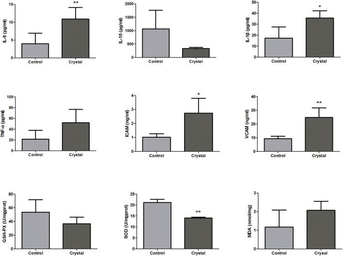 https://cdn.ncbi.nlm.nih.gov/pmc/blobs/e27c/8927618/63e6ad555786/fmed-09-805356-g0005.jpg