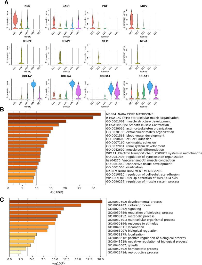 https://cdn.ncbi.nlm.nih.gov/pmc/blobs/e280/10997331/22829b9a86f4/elife-91729-fig1-figsupp1.jpg