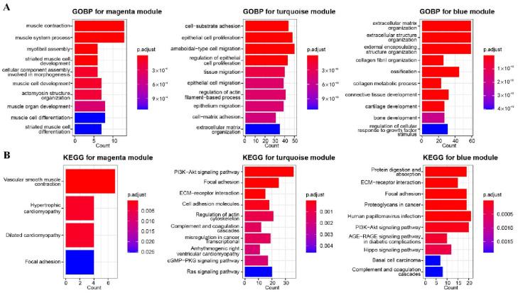 https://cdn.ncbi.nlm.nih.gov/pmc/blobs/e280/9775768/1c56f6850747/biomolecules-12-01877-g002.jpg