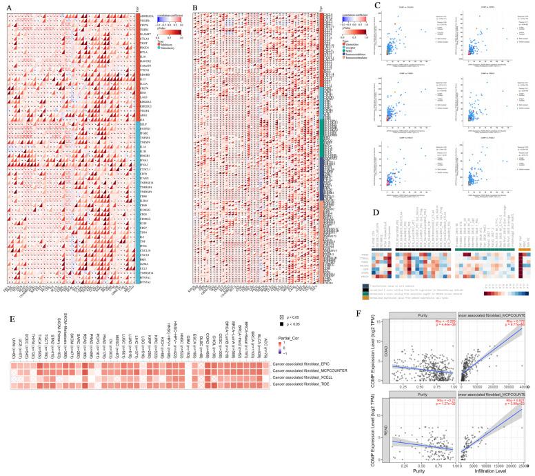 https://cdn.ncbi.nlm.nih.gov/pmc/blobs/e280/9775768/64ba79e4cf1f/biomolecules-12-01877-g007.jpg