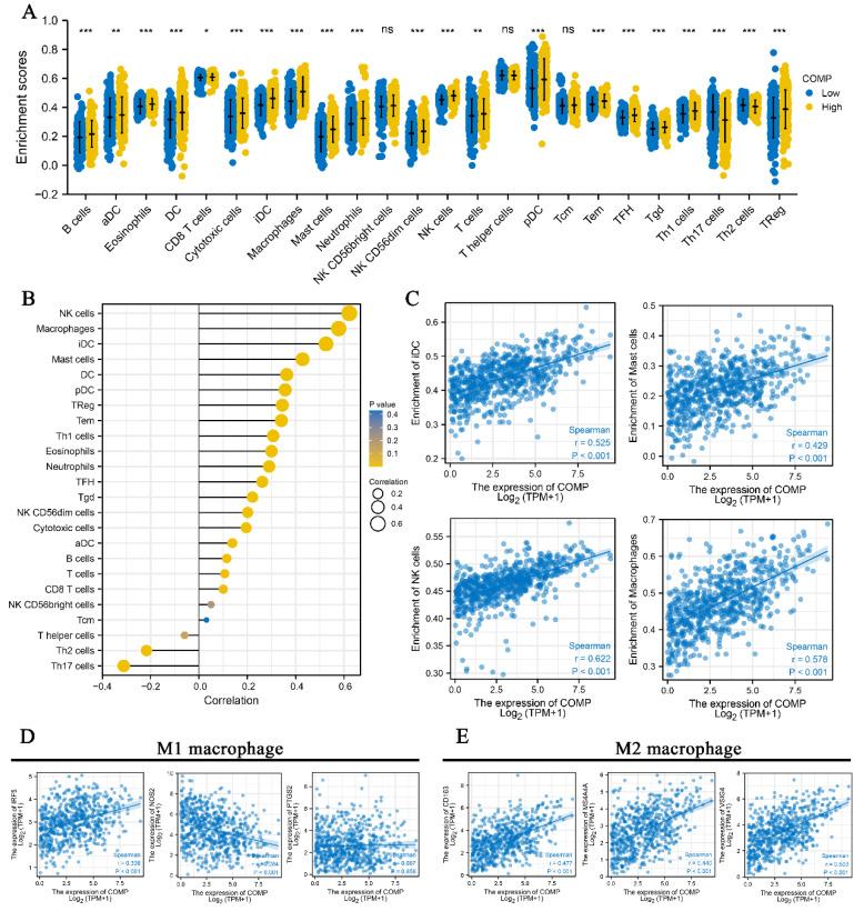https://cdn.ncbi.nlm.nih.gov/pmc/blobs/e280/9775768/786c66df20ef/biomolecules-12-01877-g006.jpg