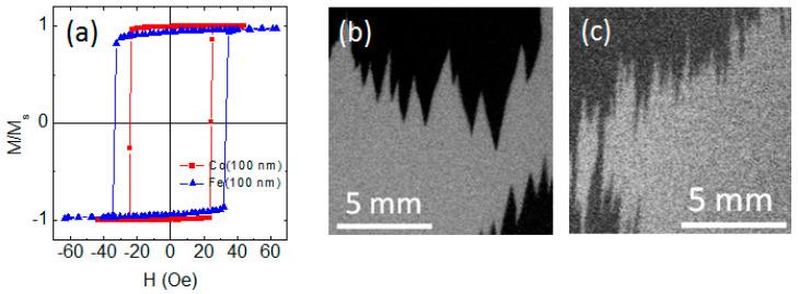 https://cdn.ncbi.nlm.nih.gov/pmc/blobs/e283/9658031/8d17dc00aa27/sensors-22-08357-g007.jpg