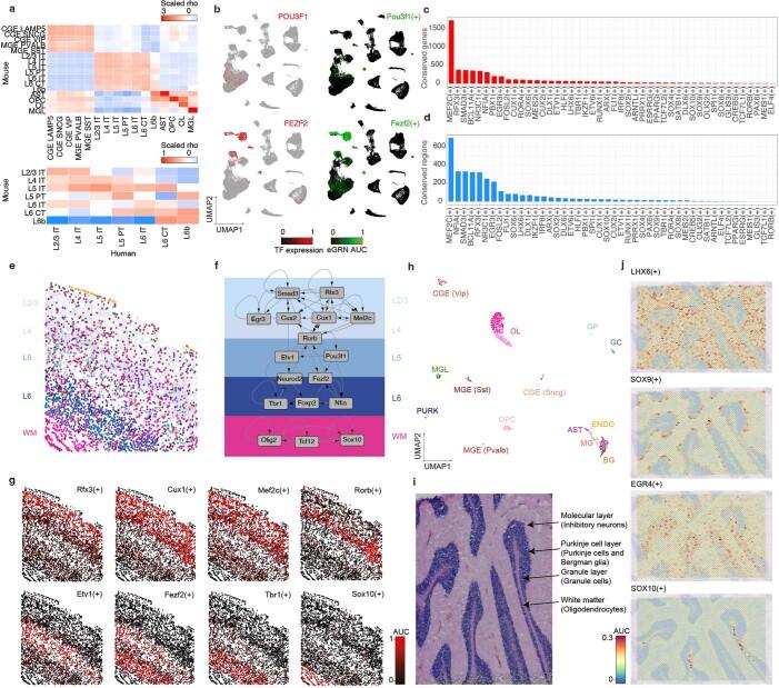 https://cdn.ncbi.nlm.nih.gov/pmc/blobs/e285/10482700/4a3da7baad3a/41592_2023_1938_Fig15_ESM.jpg