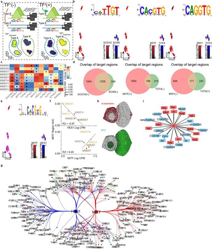 https://cdn.ncbi.nlm.nih.gov/pmc/blobs/e285/10482700/6d0381702cff/41592_2023_1938_Fig16_ESM.jpg