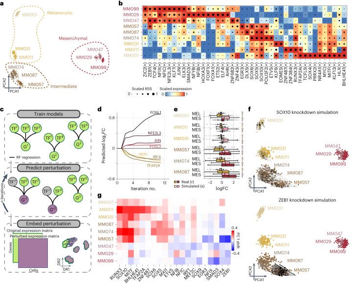 https://cdn.ncbi.nlm.nih.gov/pmc/blobs/e285/10482700/c4fc893dbb73/41592_2023_1938_Fig4_HTML.jpg