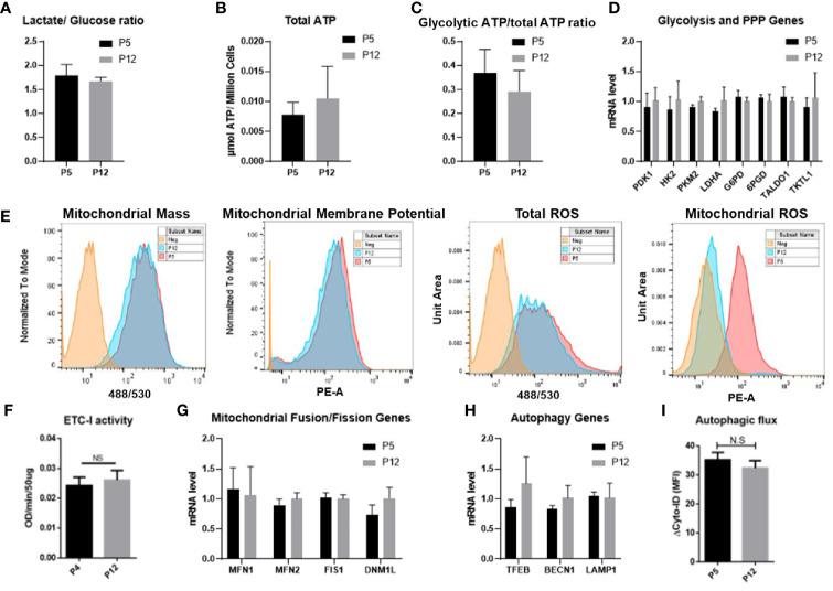 https://cdn.ncbi.nlm.nih.gov/pmc/blobs/e285/7988085/24ac72385cf2/fimmu-12-621744-g002.jpg
