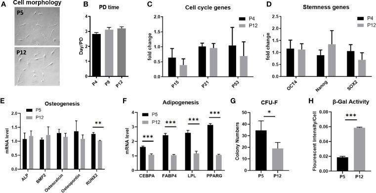 https://cdn.ncbi.nlm.nih.gov/pmc/blobs/e285/7988085/37e5955e19bc/fimmu-12-621744-g001.jpg