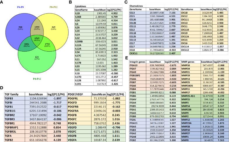 https://cdn.ncbi.nlm.nih.gov/pmc/blobs/e285/7988085/7693b9bf47e5/fimmu-12-621744-g005.jpg