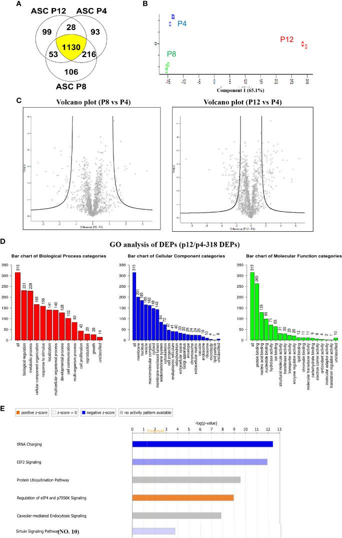 https://cdn.ncbi.nlm.nih.gov/pmc/blobs/e285/7988085/79fe9c5dffc0/fimmu-12-621744-g006.jpg