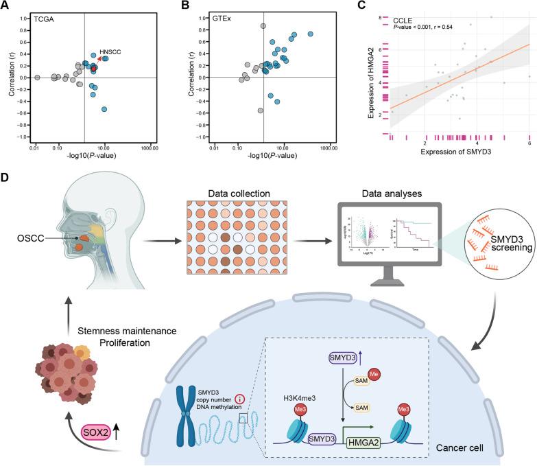 https://cdn.ncbi.nlm.nih.gov/pmc/blobs/e286/10223939/f6b01ba962ce/13148_2023_1506_Fig8_HTML.jpg