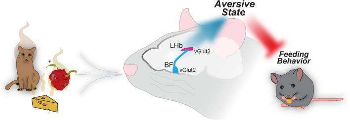 https://cdn.ncbi.nlm.nih.gov/pmc/blobs/e28c/9772215/1d3a12781712/41598_2022_26306_Fig7_HTML.jpg