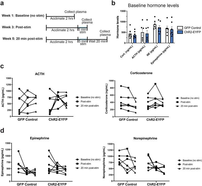 https://cdn.ncbi.nlm.nih.gov/pmc/blobs/e28c/9772215/d999c735ad7d/41598_2022_26306_Fig5_HTML.jpg