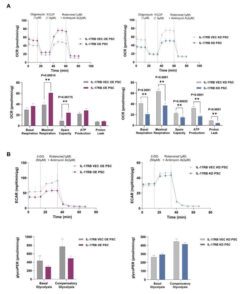 https://cdn.ncbi.nlm.nih.gov/pmc/blobs/e28d/8611647/ef209c26c7bb/cancers-13-05338-g003.jpg
