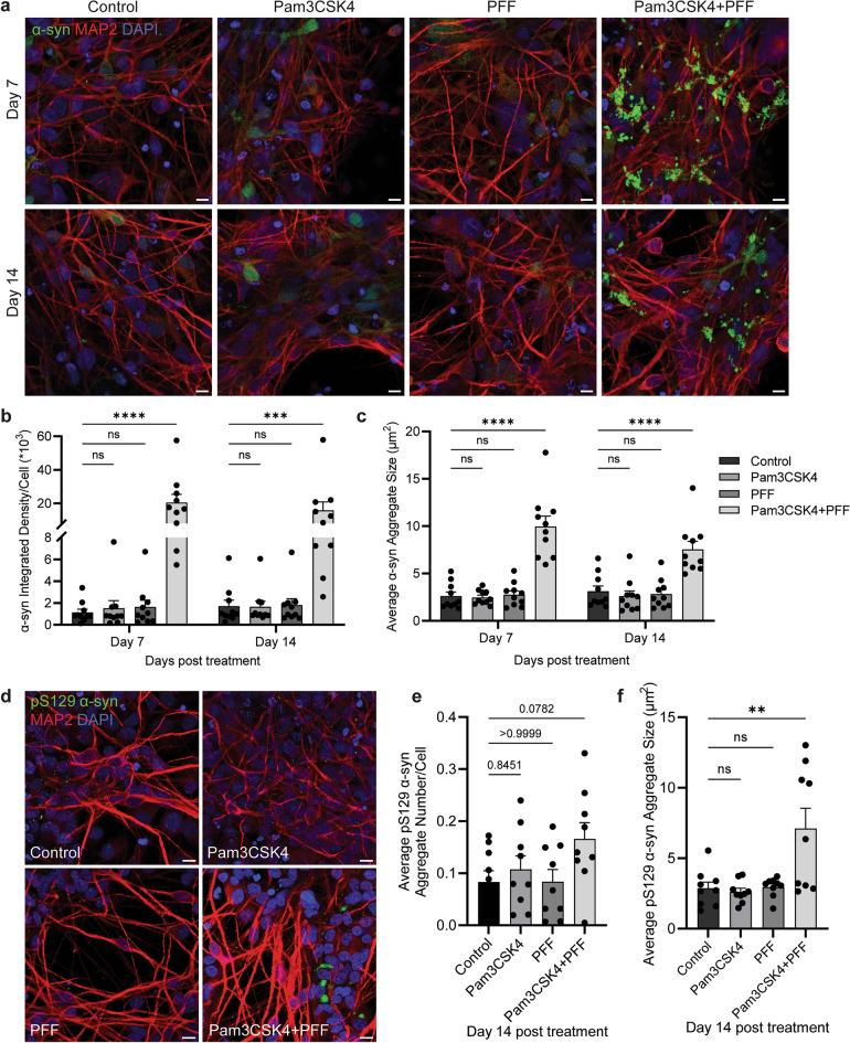 https://cdn.ncbi.nlm.nih.gov/pmc/blobs/e290/11648304/387ff8f00551/40035_2024_448_Fig3_HTML.jpg