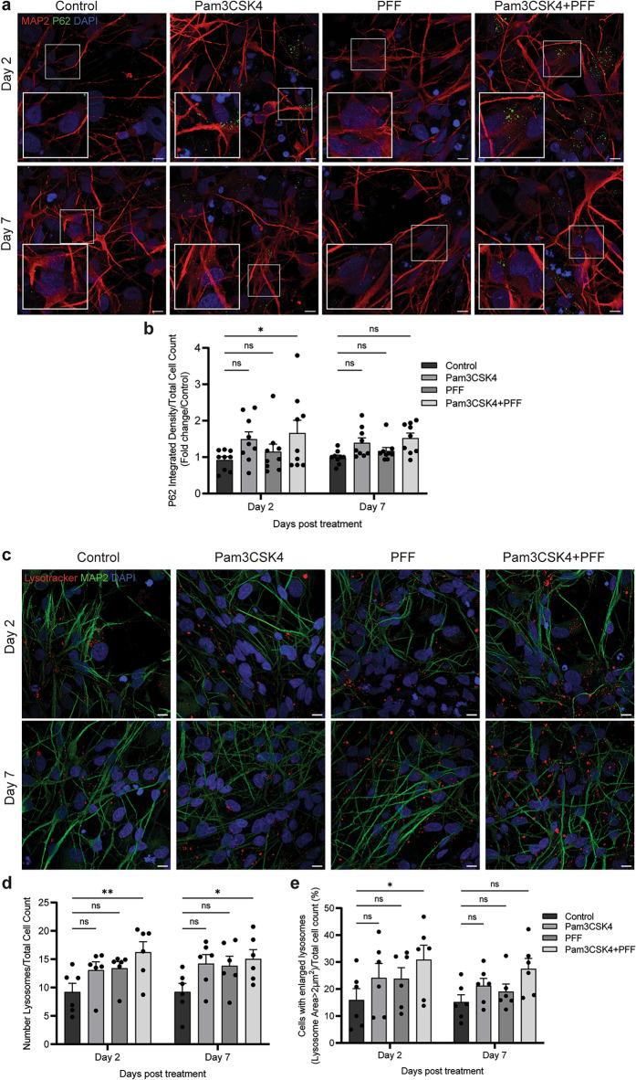 https://cdn.ncbi.nlm.nih.gov/pmc/blobs/e290/11648304/3c7b29334689/40035_2024_448_Fig5_HTML.jpg