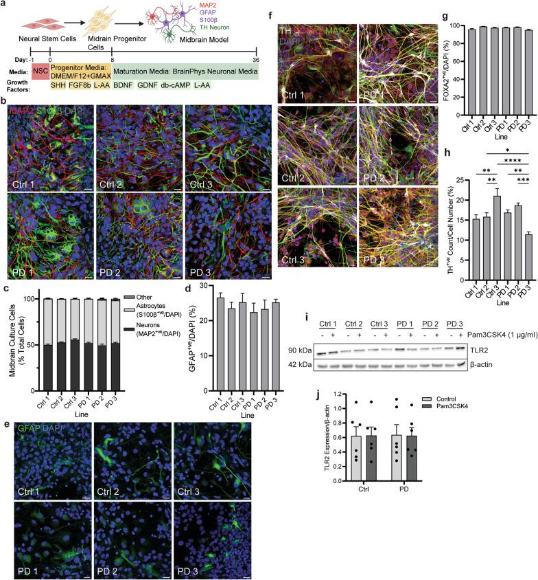 https://cdn.ncbi.nlm.nih.gov/pmc/blobs/e290/11648304/6b03b6499dba/40035_2024_448_Fig1_HTML.jpg