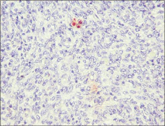 https://cdn.ncbi.nlm.nih.gov/pmc/blobs/e290/5591487/c292eab7d668/VetWorld-10-964-g016.jpg
