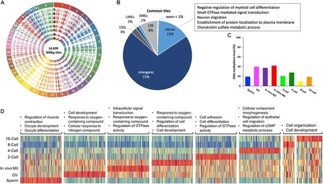 https://cdn.ncbi.nlm.nih.gov/pmc/blobs/e292/6546829/56cdf134d870/fgene-10-00512-g003.jpg