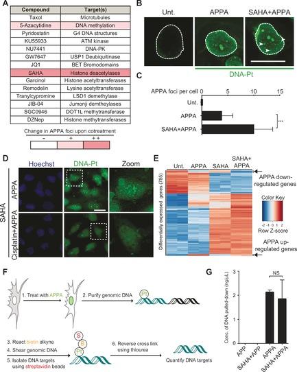 https://cdn.ncbi.nlm.nih.gov/pmc/blobs/e294/5488169/90191b1fc6b9/ANIE-56-6483-g003.jpg