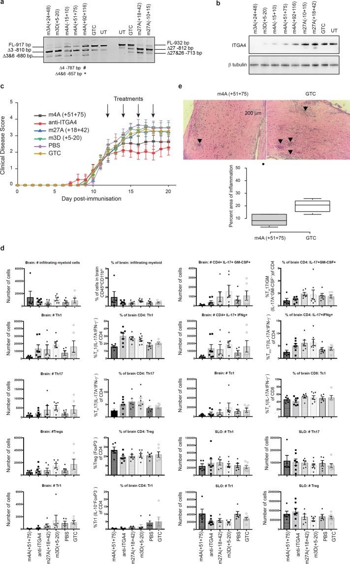 https://cdn.ncbi.nlm.nih.gov/pmc/blobs/e294/6736852/1ec61e611fbb/41598_2019_49385_Fig4_HTML.jpg