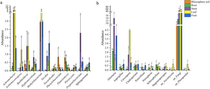 https://cdn.ncbi.nlm.nih.gov/pmc/blobs/e296/11057425/975094dbfca8/peerj-12-17240-g002.jpg