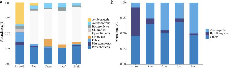 https://cdn.ncbi.nlm.nih.gov/pmc/blobs/e296/11057425/c557483eabf8/peerj-12-17240-g001.jpg