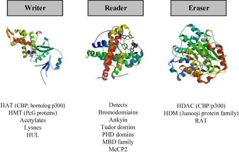 https://cdn.ncbi.nlm.nih.gov/pmc/blobs/e297/4633454/452ac0ade2e1/IJBMS-18-723-g003.jpg