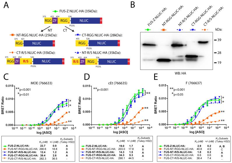 https://cdn.ncbi.nlm.nih.gov/pmc/blobs/e299/5737868/a155832572dd/gkx709fig10.jpg