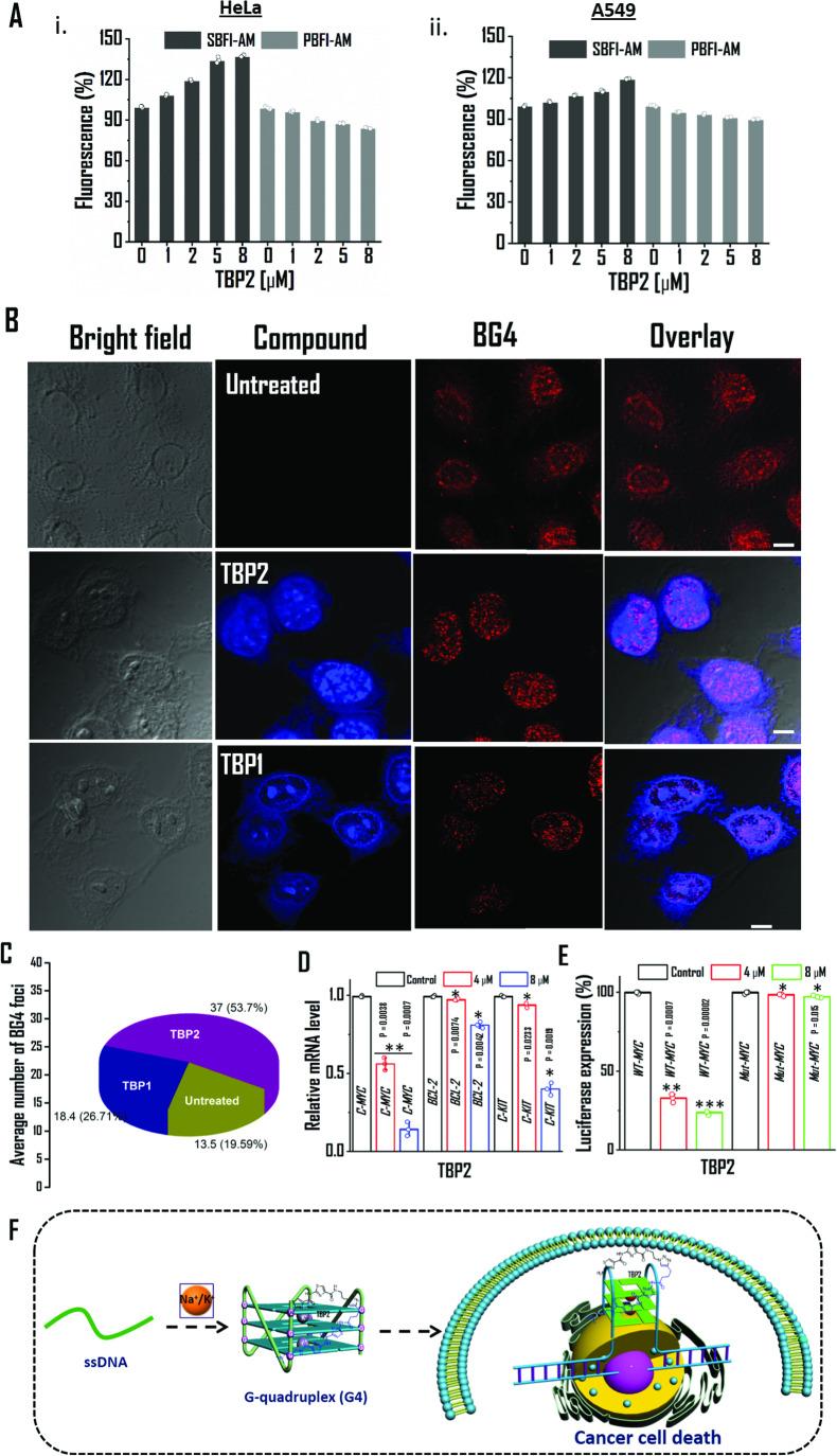 https://cdn.ncbi.nlm.nih.gov/pmc/blobs/e29b/11190219/53ecb2cb1d33/41467_2024_49534_Fig6_HTML.jpg