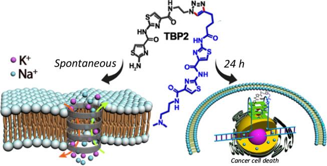 https://cdn.ncbi.nlm.nih.gov/pmc/blobs/e29b/11190219/5ea738bfad48/41467_2024_49534_Fig1_HTML.jpg