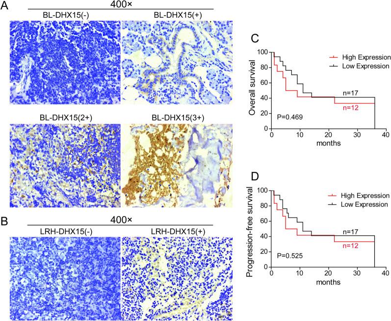 https://cdn.ncbi.nlm.nih.gov/pmc/blobs/e29b/8862312/3be89002f8f1/12935_2021_2426_Fig1_HTML.jpg