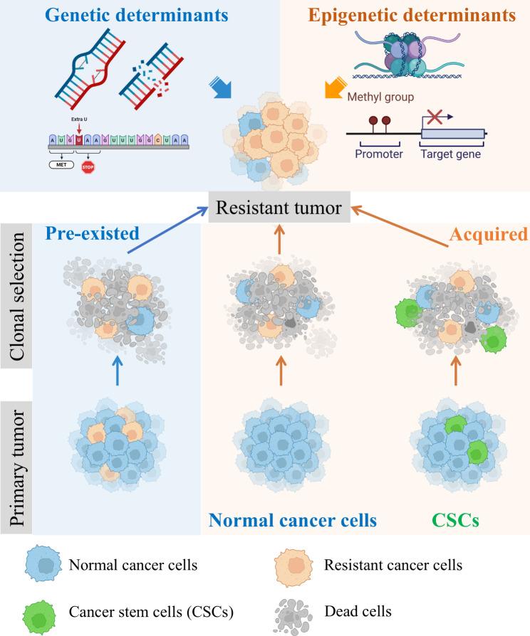 https://cdn.ncbi.nlm.nih.gov/pmc/blobs/e29c/11439304/74564cdcd934/12935_2024_3510_Fig5_HTML.jpg