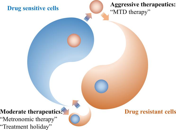 https://cdn.ncbi.nlm.nih.gov/pmc/blobs/e29c/11439304/8b57920697ba/12935_2024_3510_Fig6_HTML.jpg