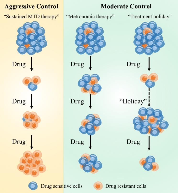 https://cdn.ncbi.nlm.nih.gov/pmc/blobs/e29c/11439304/d293c65d6bba/12935_2024_3510_Fig1_HTML.jpg