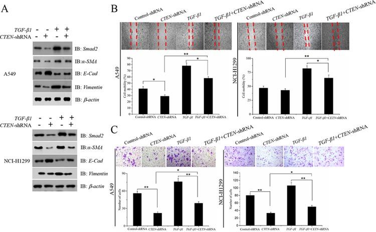https://cdn.ncbi.nlm.nih.gov/pmc/blobs/e29d/6037349/3347e4a434f8/pone.0198823.g003.jpg