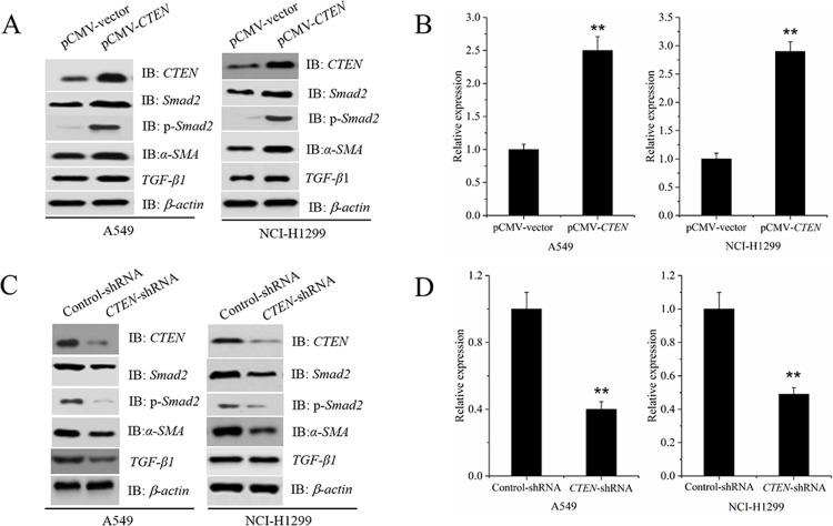 https://cdn.ncbi.nlm.nih.gov/pmc/blobs/e29d/6037349/5fa465223dbe/pone.0198823.g002.jpg