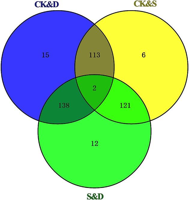 https://cdn.ncbi.nlm.nih.gov/pmc/blobs/e2a0/4865509/1cebd0993a71/fpls-07-00658-g0005.jpg
