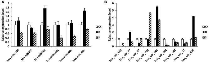 https://cdn.ncbi.nlm.nih.gov/pmc/blobs/e2a0/4865509/82cb0bb4ab5d/fpls-07-00658-g0006.jpg